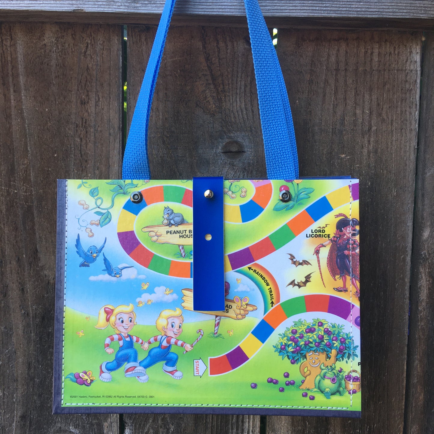 Gameboard Bag - Candyland Bag